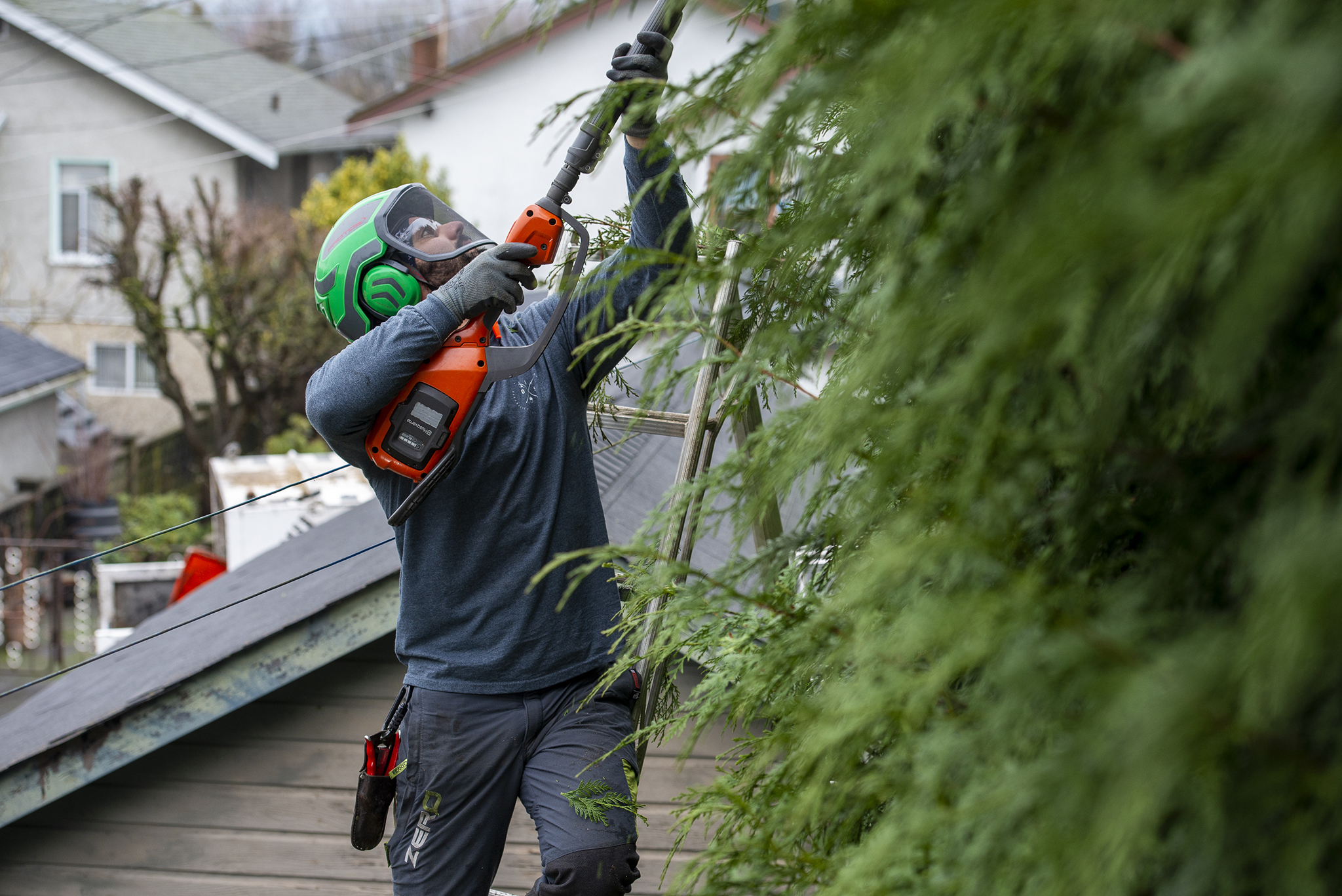 Tree Trimming In Vancouver