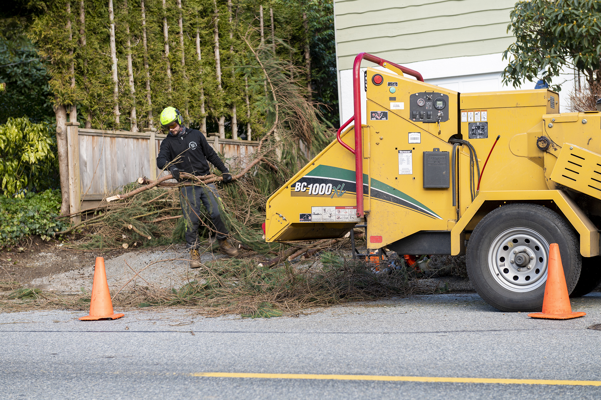 Stump Grinding