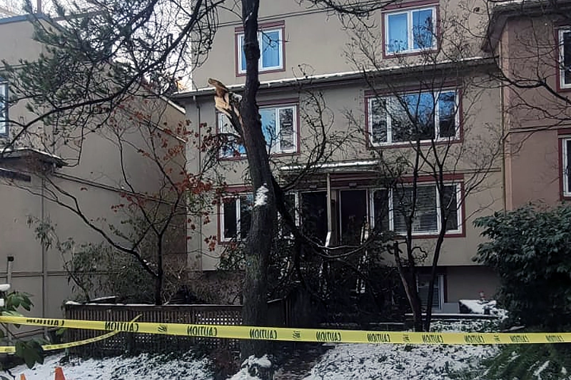 Tree Damage In Winter